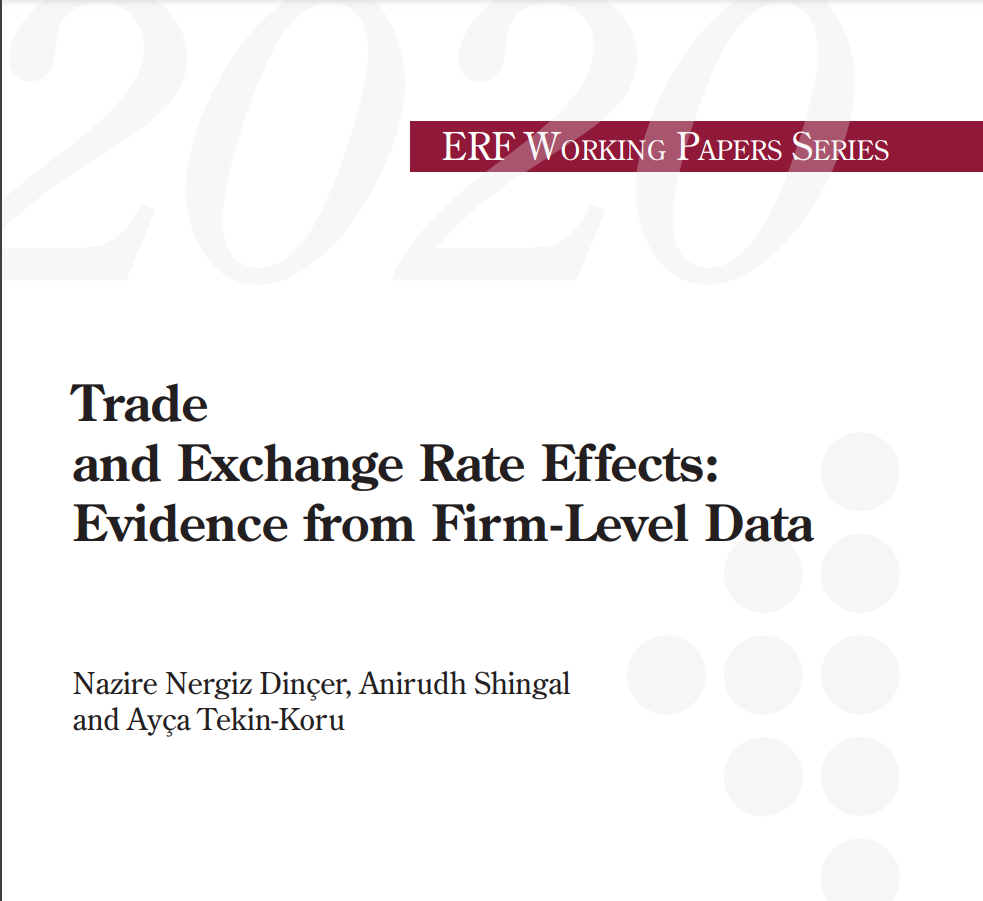 SK Ozer, NN Dincer, A Tekin-Koru (2020). Foreign Language Training and Export Performance of Firms, Ekonomik Yaklasim 31-114 (1-21)