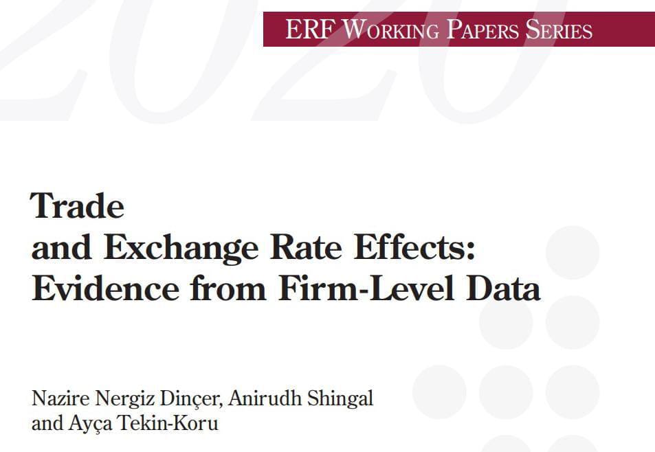 SK Ozer, NN Dincer, A Tekin-Koru (2020). Foreign Language Training and Export Performance of Firms, Ekonomik Yaklasim 31-114 (1-21)